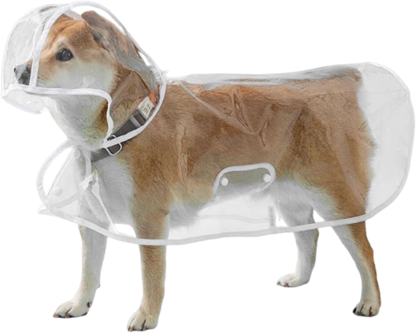 Transparent dog waterproof poncho jacket showing adjustable button closures