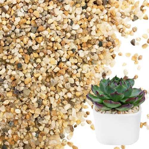 Nupick horticultural grit poured in a glass vase with succulent