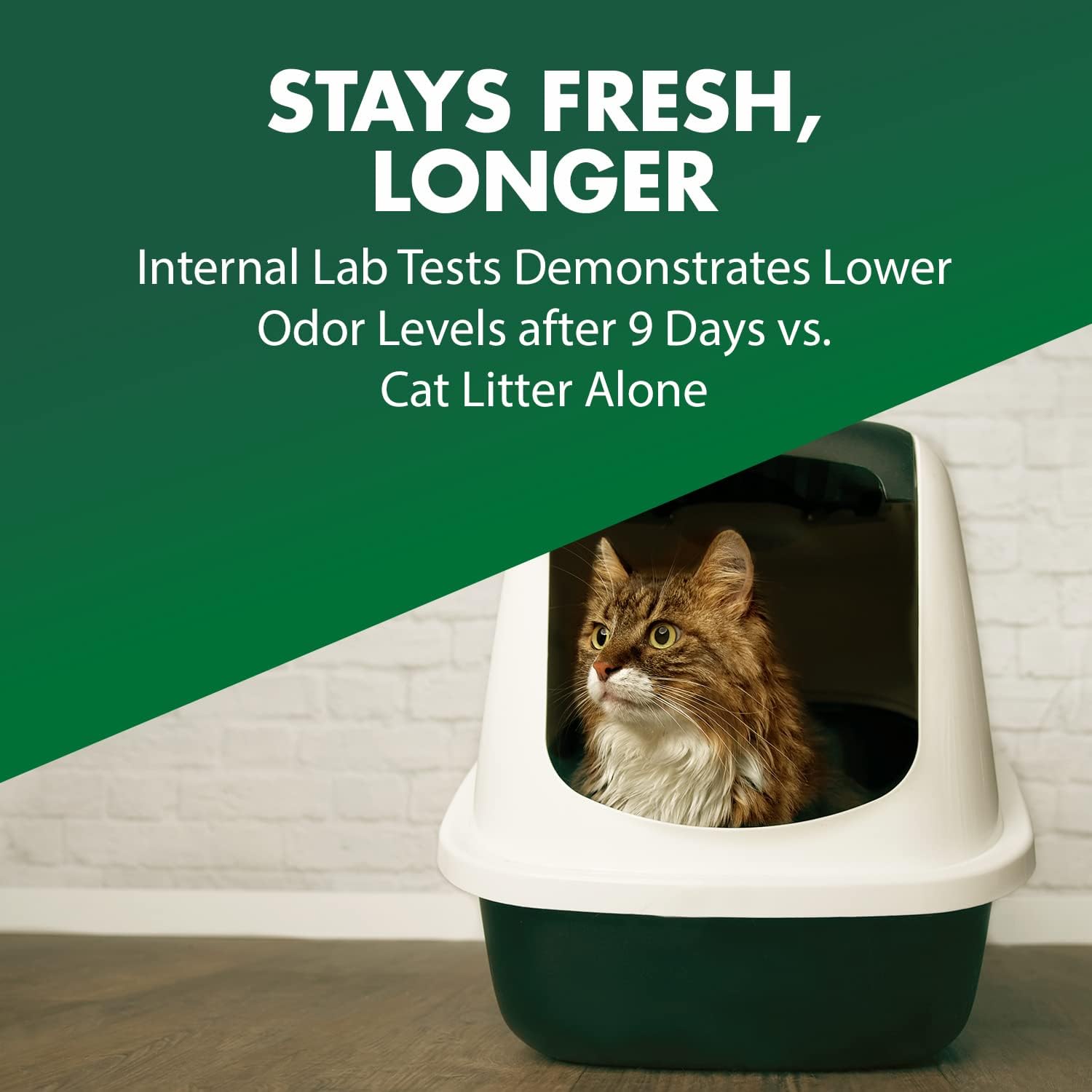 Using Arm and Hammer cat litter deodorizer powder on clay litter