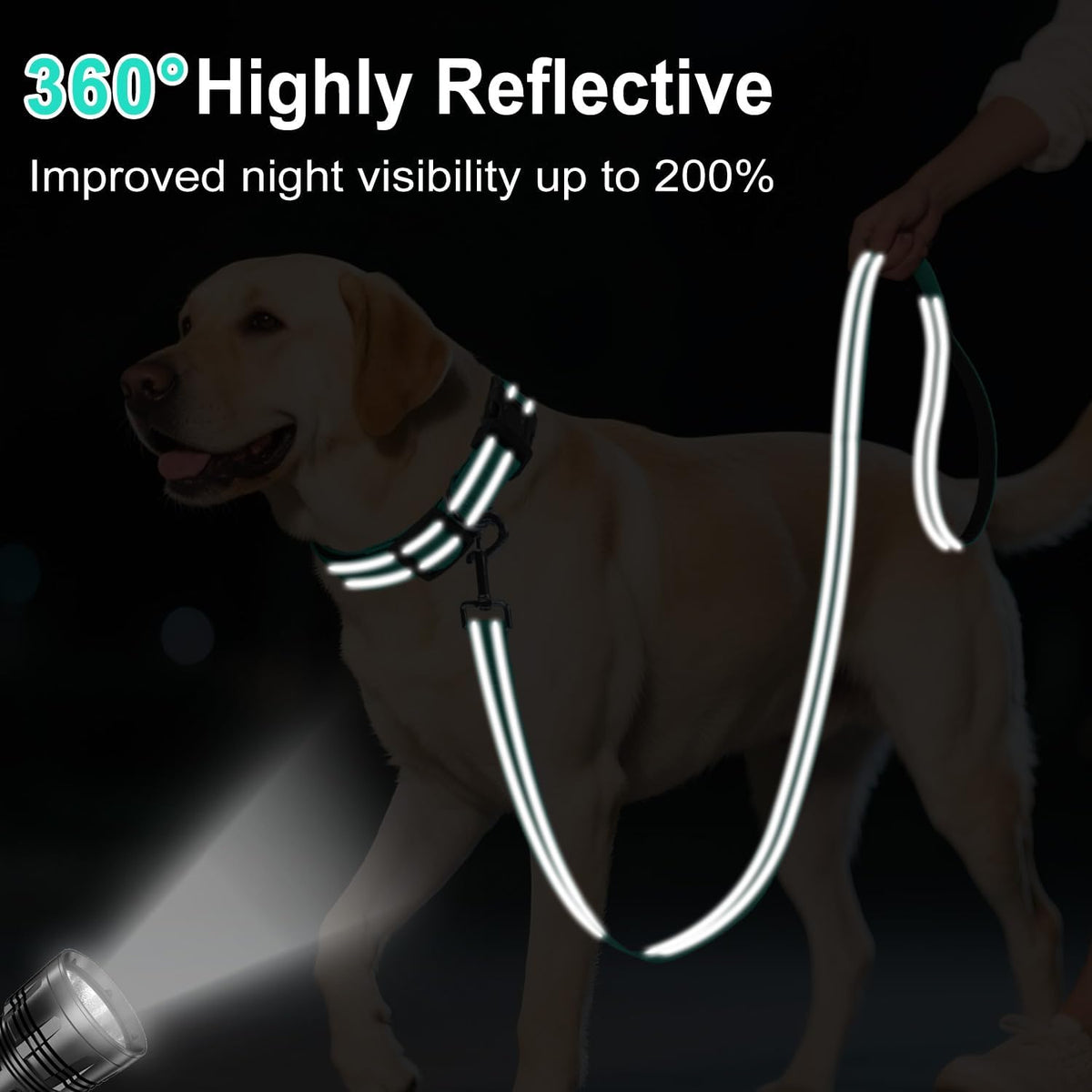 Erbine durable nylon dog lead showing heavy duty zinc alloy swivel clasp
