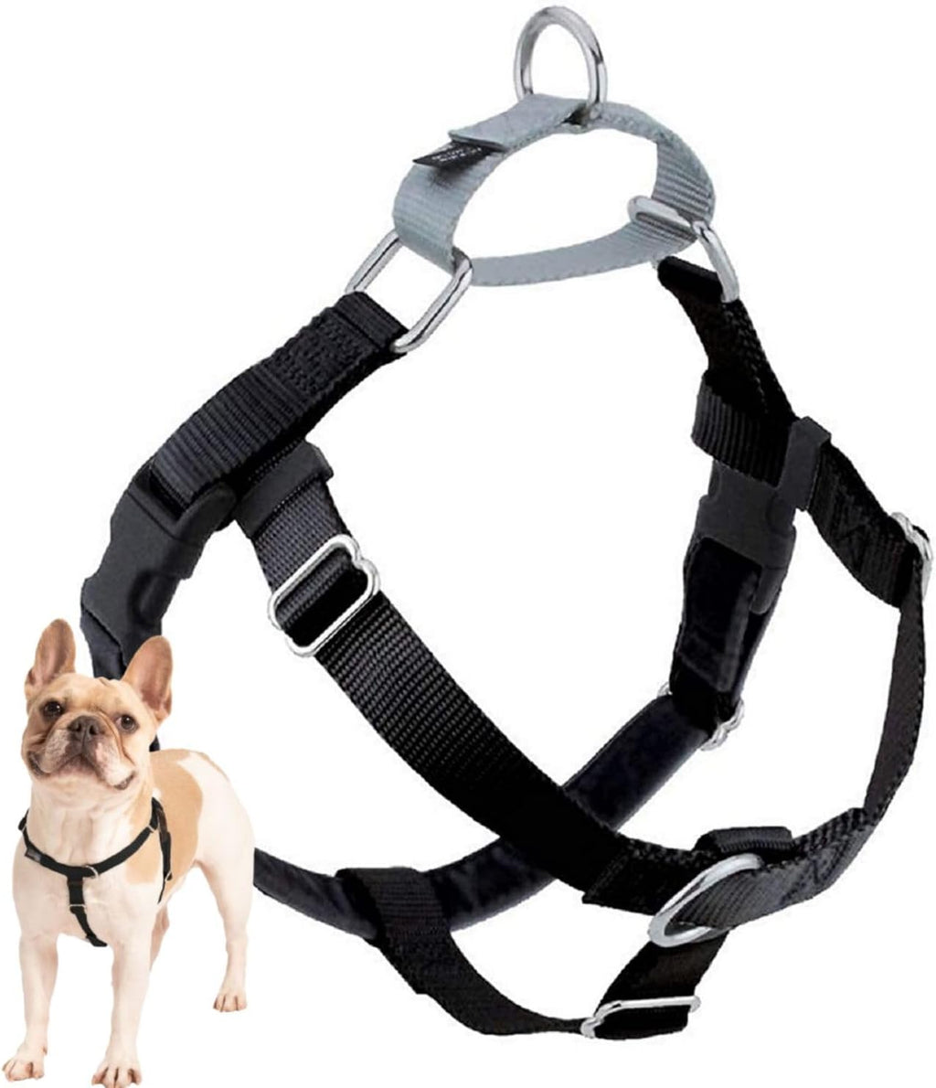 2 Hounds Design Freedom No Pull Dog Harness, Adjustable Harness, Easy Walking & Comfortable Control, Fits Small, Medium & Large Dogs, Solid Colors, Made in USA, 1" MD, Teal - Image 14