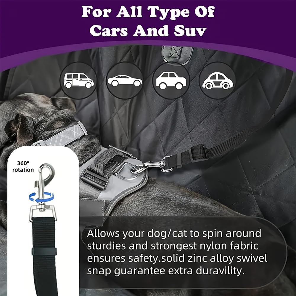 Pet travel leash showing adjustable buckle system