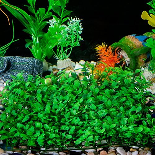 SLSON artificial aquarium vegetation packaging contents showing grass mat and eight suction cups