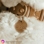 Onoma durable lifetime pet ID tag with dual attachment split rings