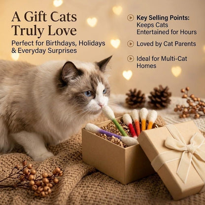 Colorful cat swab toys for indoor cats interactive play
