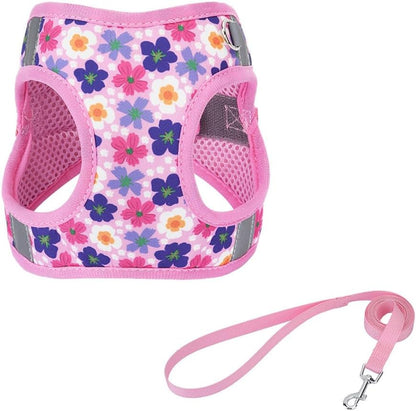 Flymind imported dog vest harness set packaged safely with leash for travel.