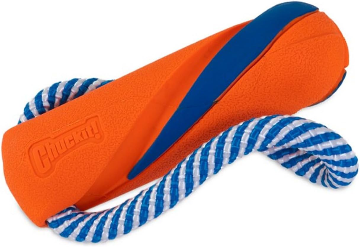 Chuckit! high visibility orange rubber dog bumper showing its durable construction for outdoor fetch and tug training.