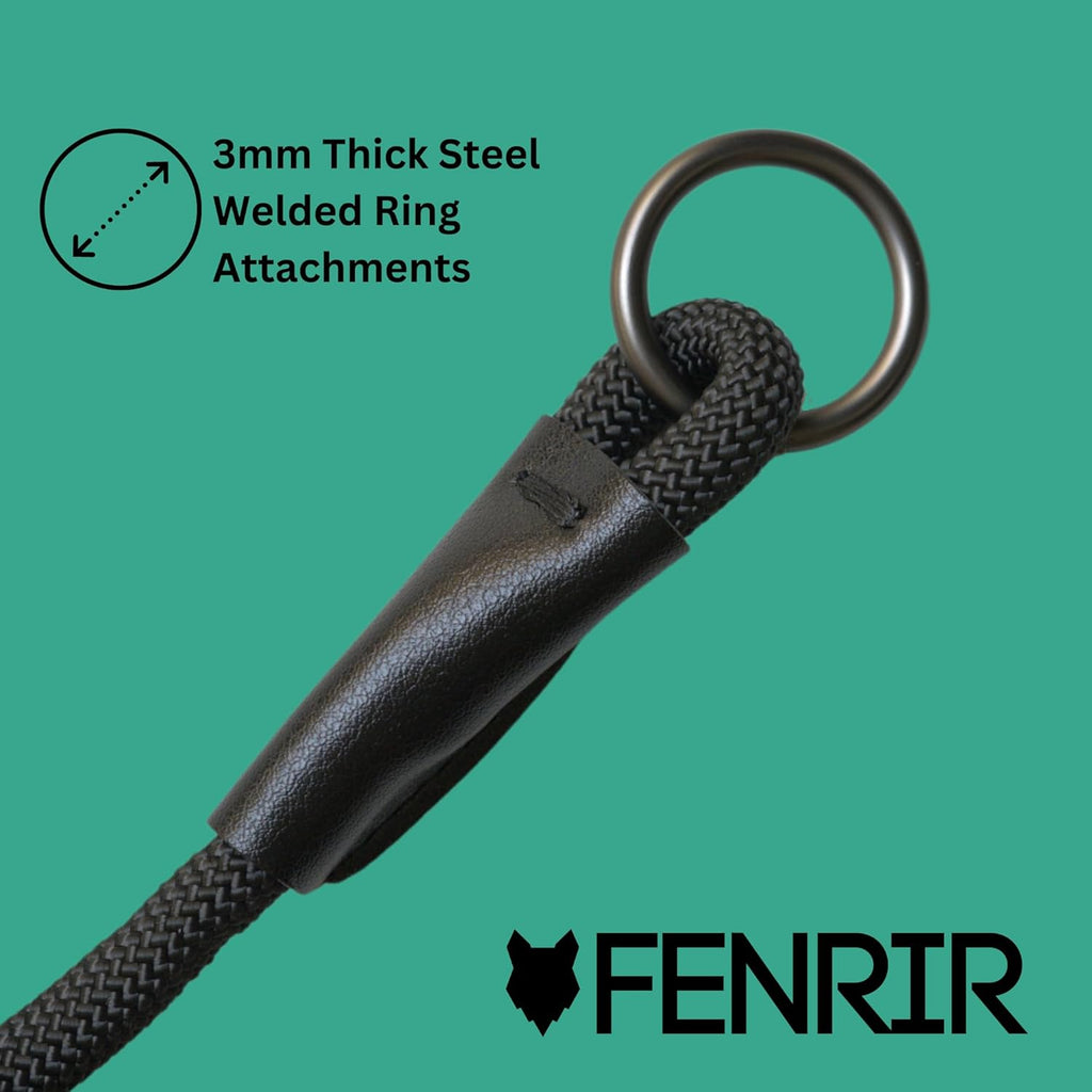 Fenrir professional dog choke collar large size detailed view