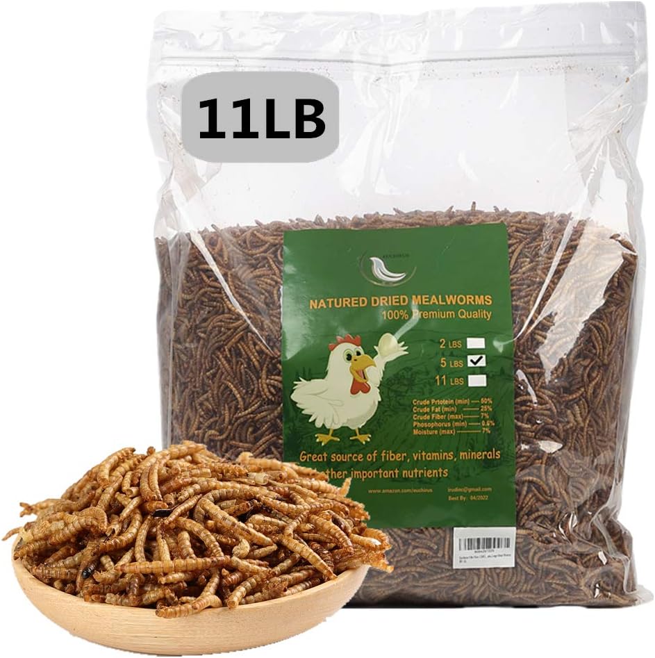 LIWII Handpoint dried mealworms front view package bulk treat