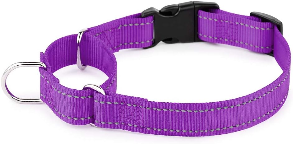 Authentic USA imported PLUTUS PET martingale style collar packaging view