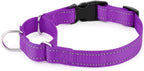Authentic USA imported PLUTUS PET martingale style collar packaging view