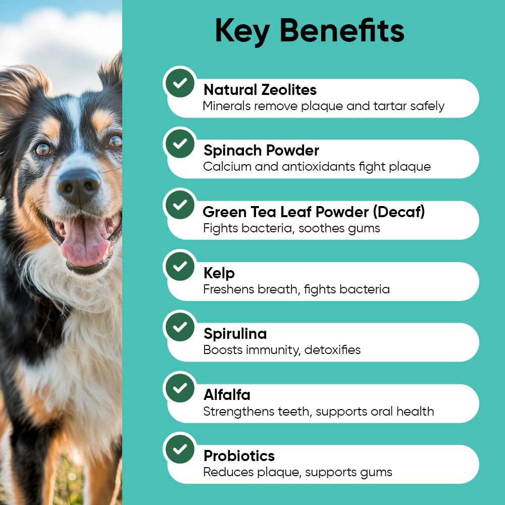 Dog teeth cleaning powder jar showing natural kelp and probiotics formula ingredients.