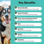 Dog teeth cleaning powder jar showing natural kelp and probiotics formula ingredients.
