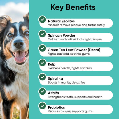 Dog teeth cleaning powder jar showing natural kelp and probiotics formula ingredients.