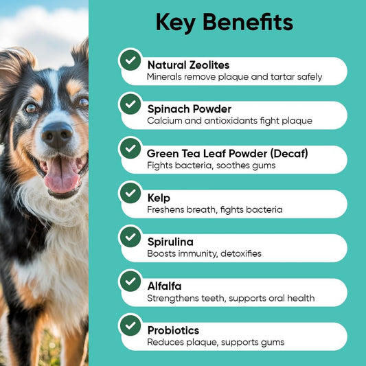 Dog teeth cleaning powder jar showing natural kelp and probiotics formula ingredients.