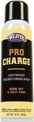 Weaver Leather Stierwalt ProCharge Reconditioning Spray front view aerosol can