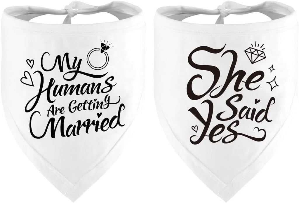 High quality fabric pet accessory for wedding ceremonies