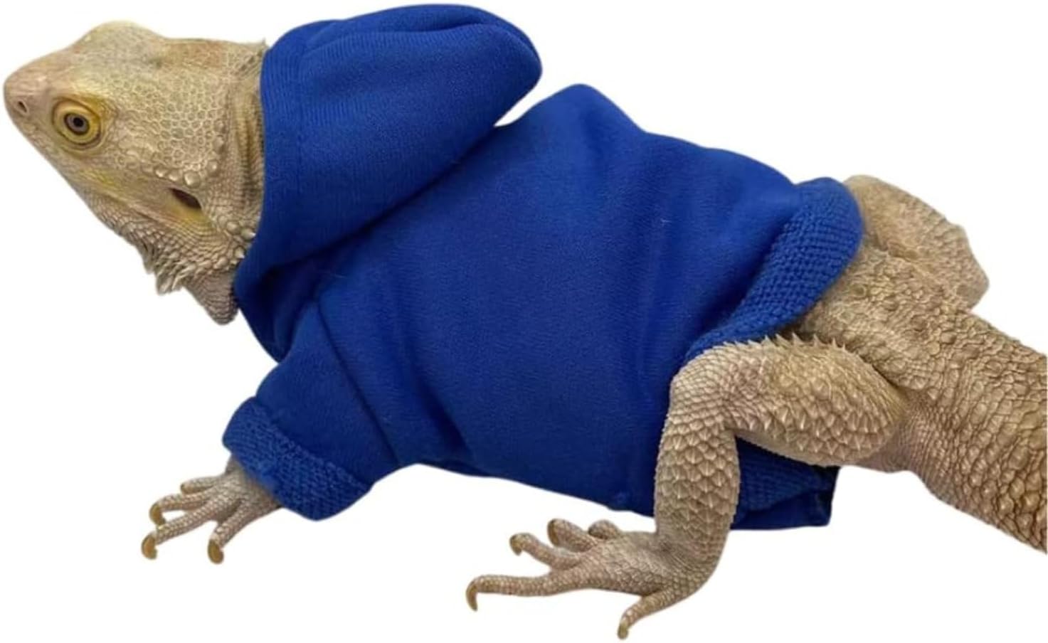 Machine washable cotton pet costume designed for exotic reptiles
