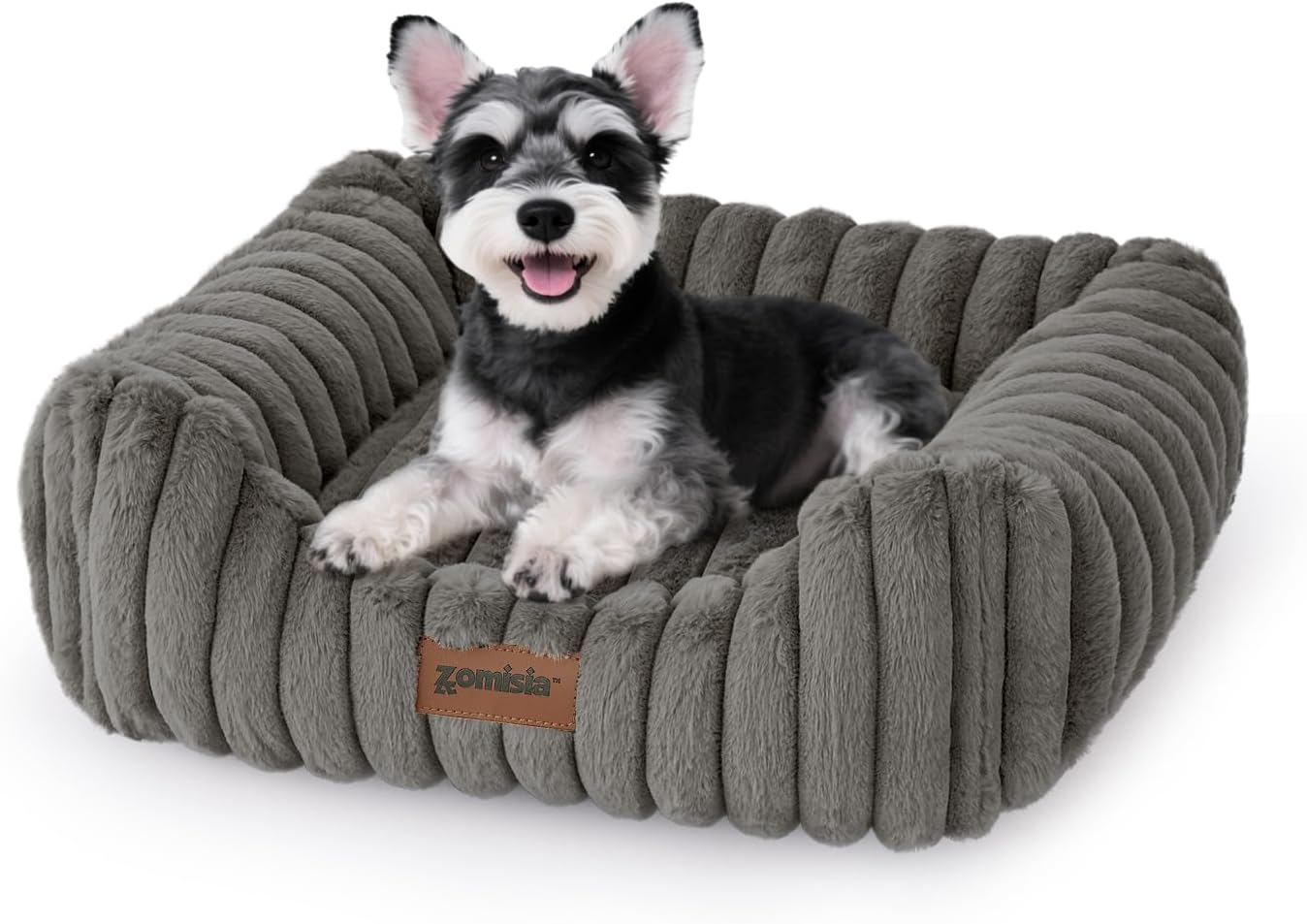 Small dog resting comfortably on Zomisia rectangular bed
