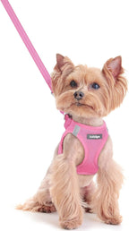 rabbitgoo Dog Harness Small Sized and Leash Set, Step in Soft Light Puppy Vest, Breathable Mesh Pet Harness, Reflective for Safe Easy Walking, Rose Red S - Image 12