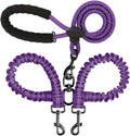 BAOBOTE double dog leash purple front view dual pet lead