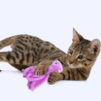 Close up view of the natural catnip filled pet entertainment toy