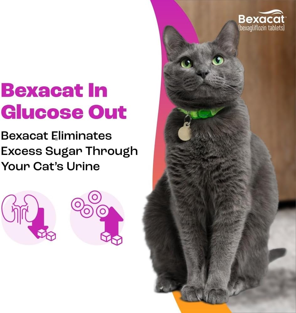 Bexacat flavored tablets for cat health
