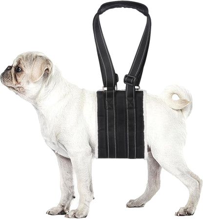 Lenpestia adjustable dog lift harness small size side profile
