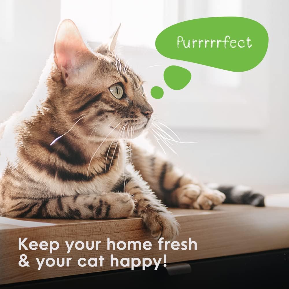 Complete packaged Litter Genie cat litter disposal system box and accessories