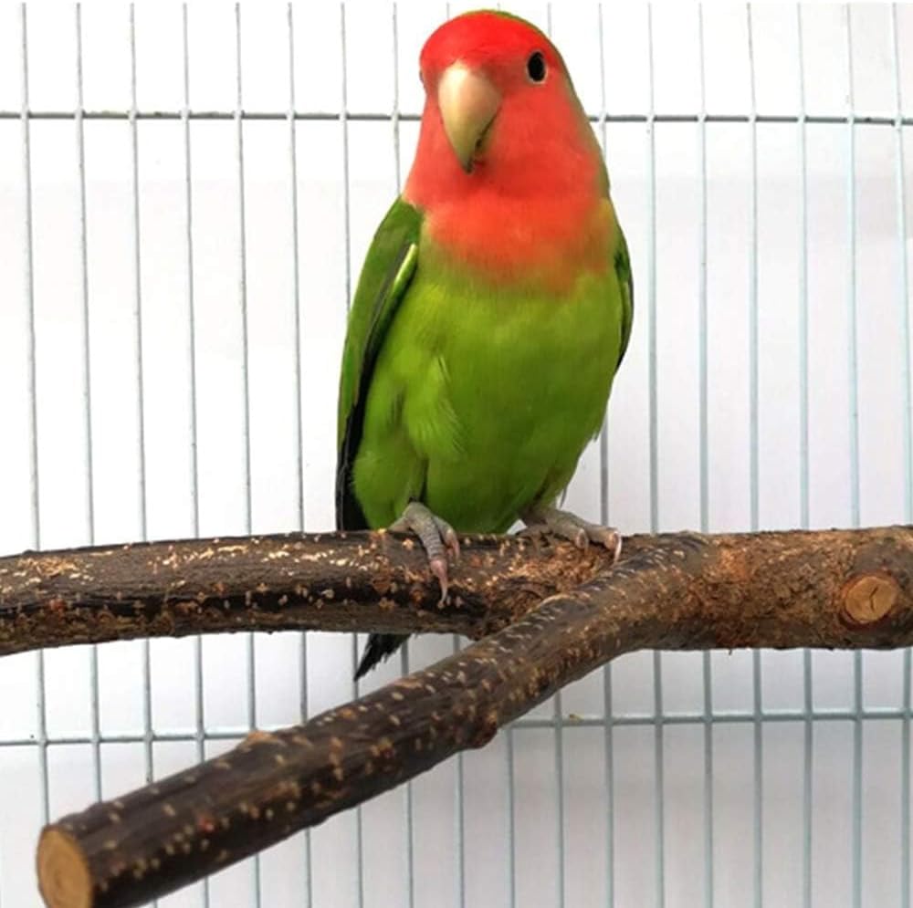 4 Pack Natural Wood Bird Perch Set for Parakeet Cage - Image 5