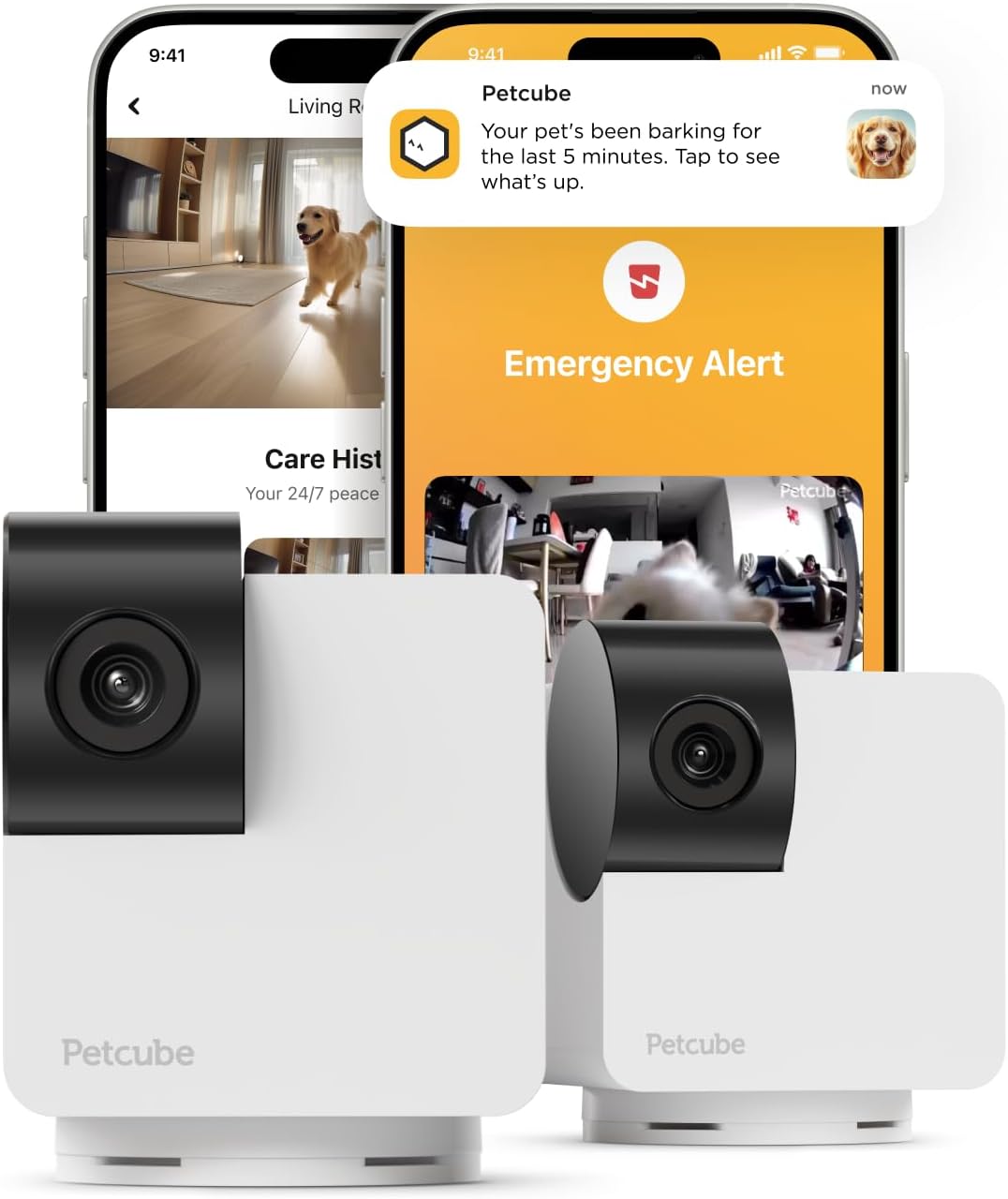 Petcube two way audio feature demonstration with dog listening to owner voice