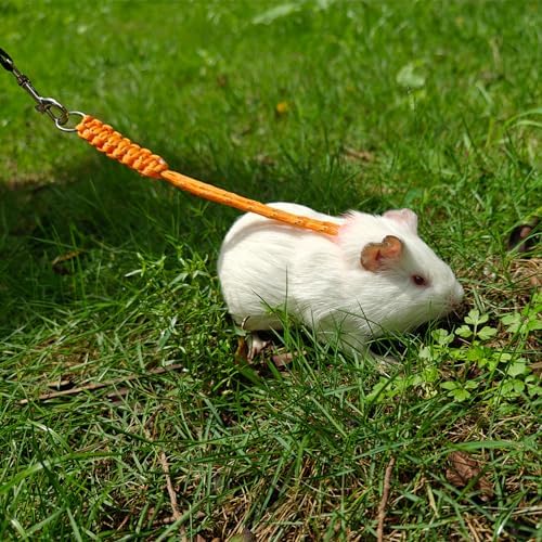 Side profile of small animal harness on pet