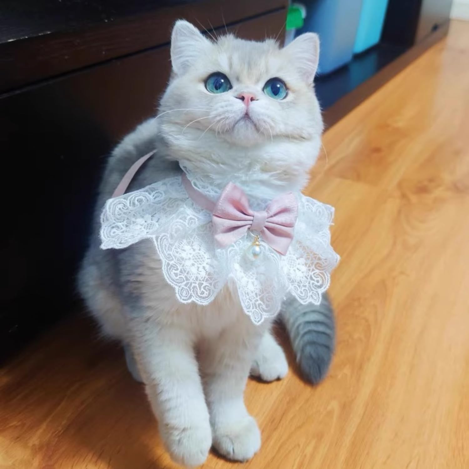 Close up of Jatmira floral aesthetic cat bowtie