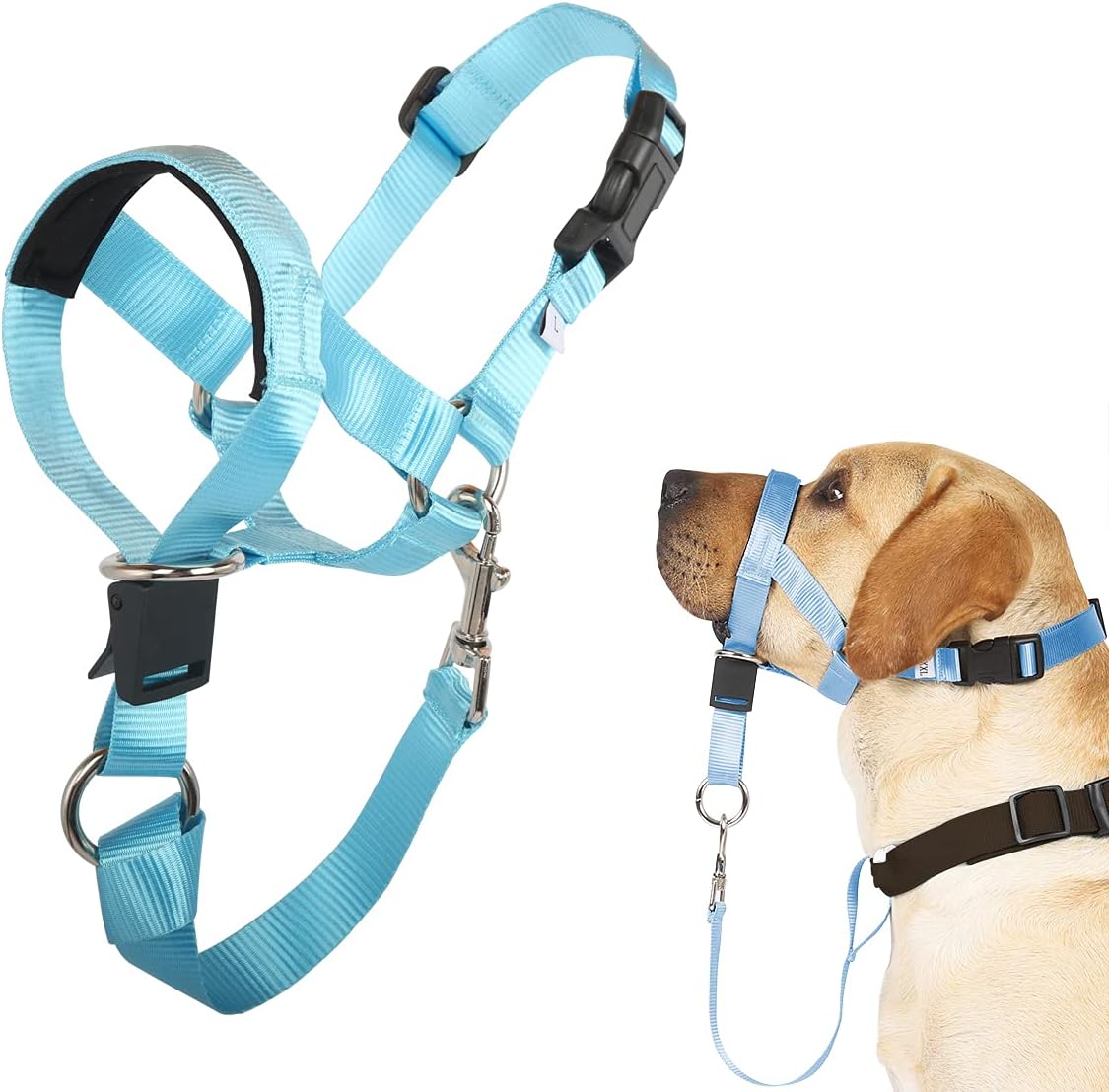 Size chart visual for Barkless extra large head collar