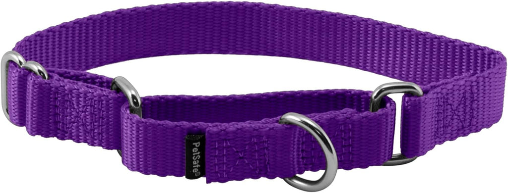 PetSafe Martingale Dog Collar Small, 3/4 Inch, Royal Blue - Image 12