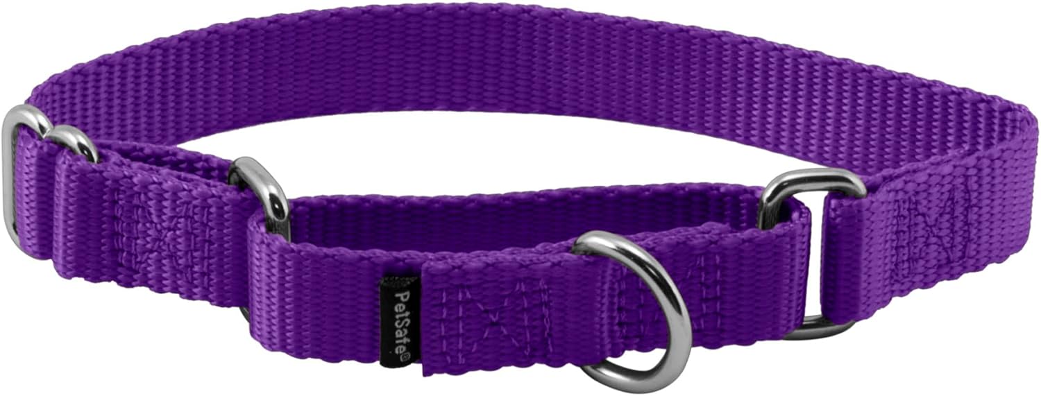 PetSafe Martingale Dog Collar Small, 3/4 Inch, Royal Blue - Image 12