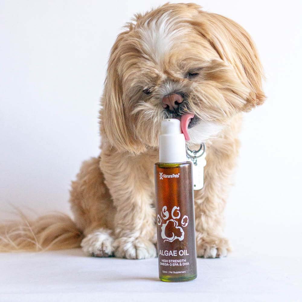 New Zealand sourced sustainable dog omega 3 drops being added to dog food for healthy fur.