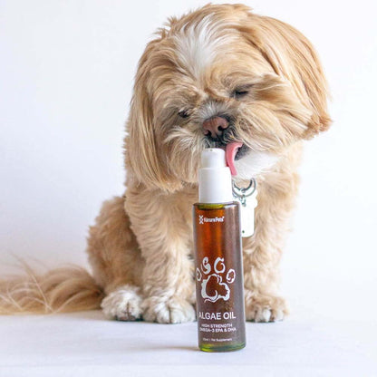 New Zealand sourced sustainable dog omega 3 drops being added to dog food for healthy fur.