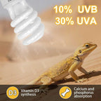 Hygger Zoo compact fluorescent reptile desert light close up view.