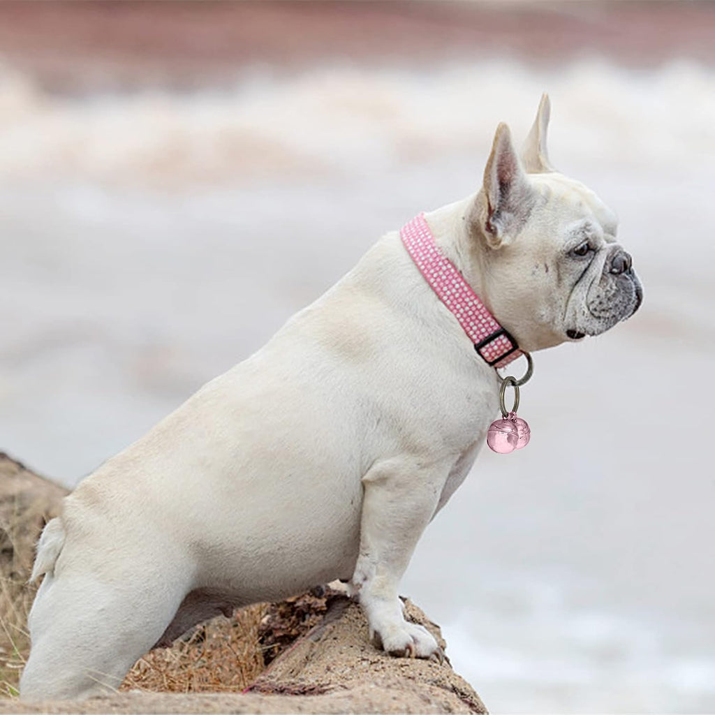 Side angle view of the DORUI loud anti theft pet collar charm for cats and dogs.
