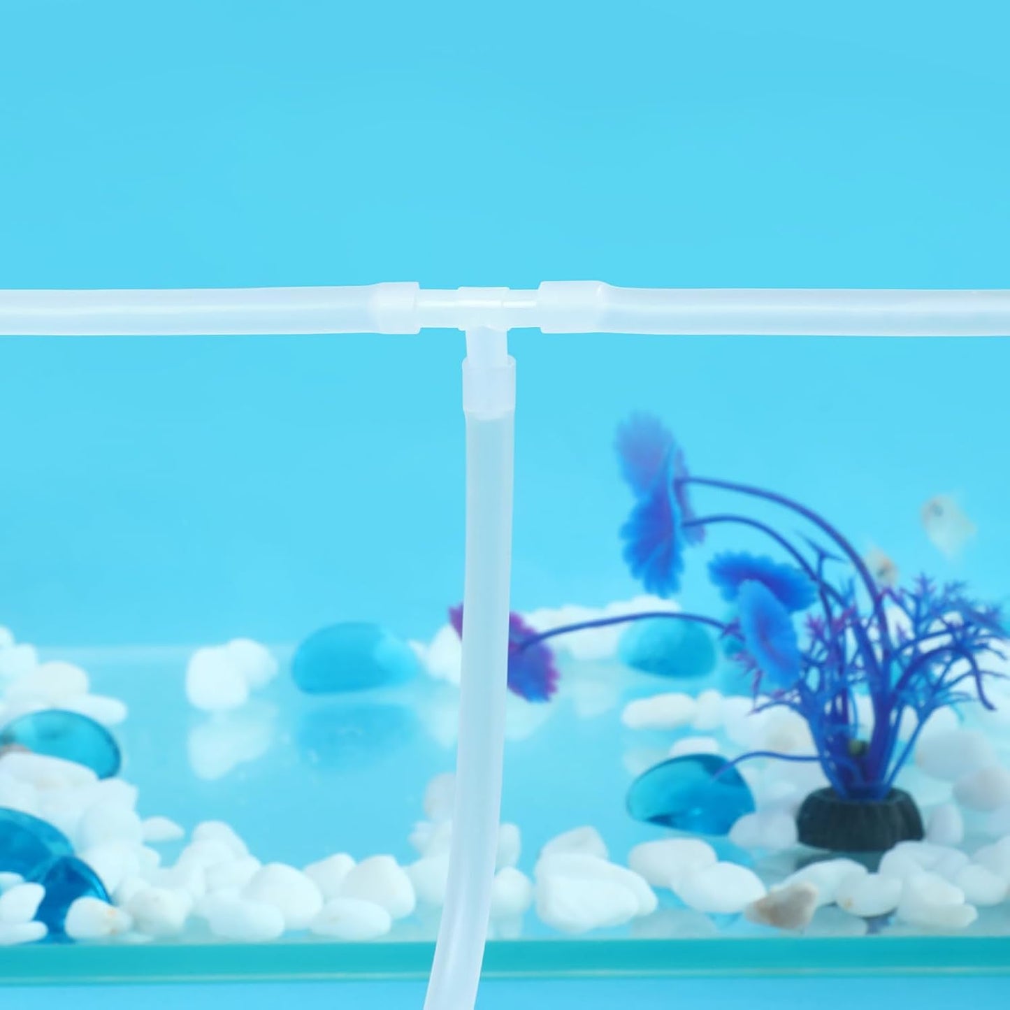 Translucent suction cups anchoring clear aquarium hose securely against glass walls