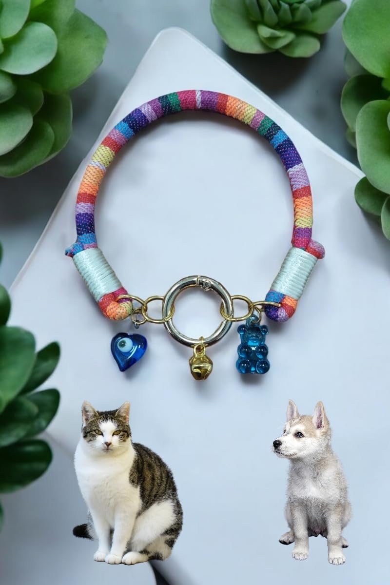 Hadess cat collar worn by kitten showing adjustable fit