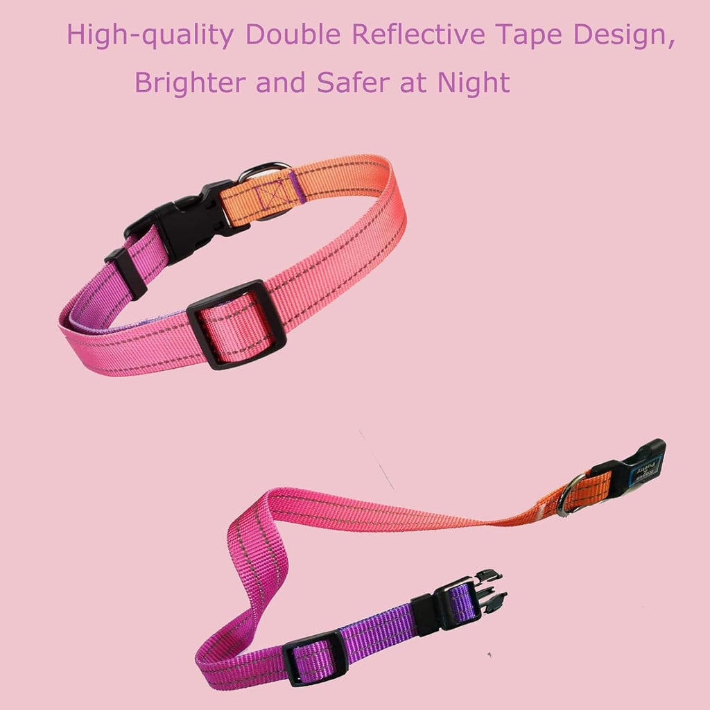 High density polyester webbing texture on dog collar