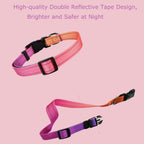 High density polyester webbing texture on dog collar