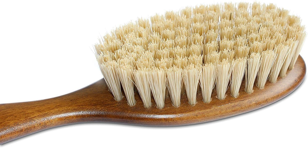 Mars Coat King natural boar bristle cat brush wooden handle close up