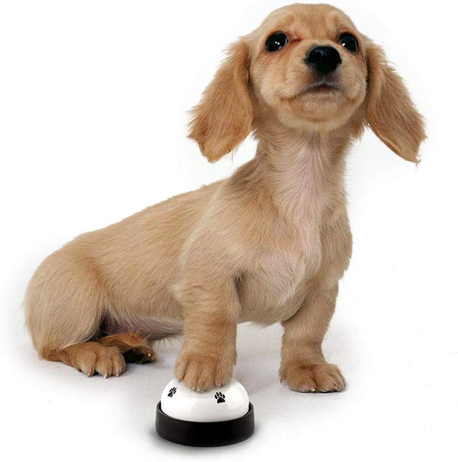Close up of non-skid rubber base on dog bell