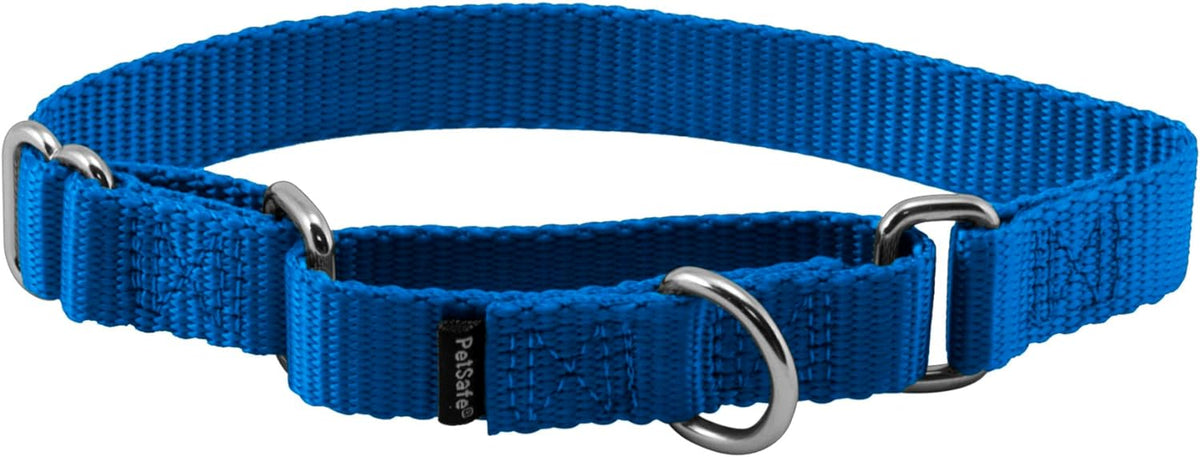 PetSafe Martingale Dog Collar small royal blue front view