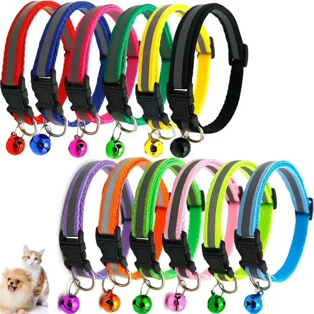 ONEFOJOJO extra small dog collar showing adjustable buckle mechanism