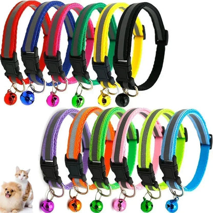 ONEFOJOJO extra small dog collar showing adjustable buckle mechanism