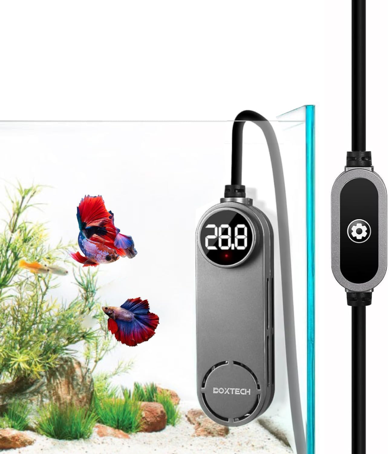 UPETTOOLS 50W Mini Aquarium Heater for 5-10 Gallon Tanks - Submersible Fish Tank Heater with Digital Display & External Temperature Controller, Adjustable 68 degreesF-93 degreesF, for Betta & Turtle TanksShrimp - Image 11